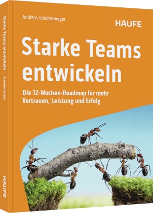 Rezension zu "Starke Teams entwickeln"